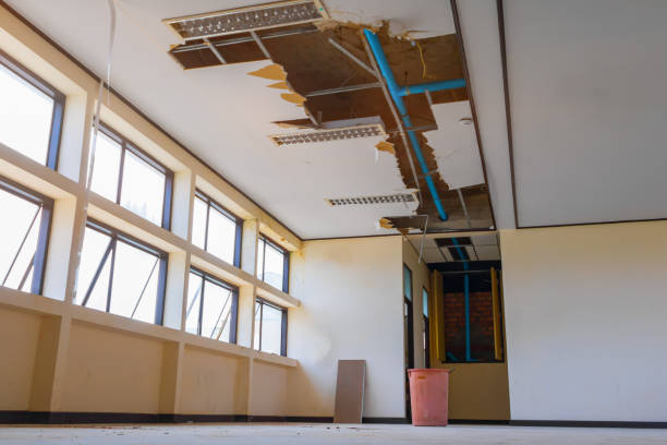 Best 24/7 water damage repair  in Lakeport, CA