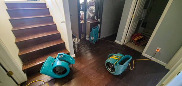 Best Local water damage restoration  in Lakeport, CA