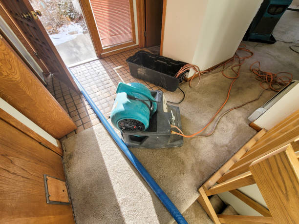 Best Water damage repair service  in Lakeport, CA