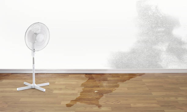 Best Ceiling water damage repair  in Lakeport, CA