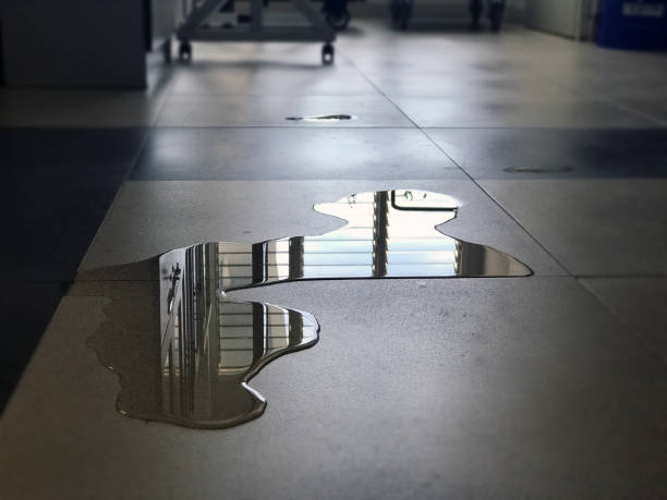 Best 24-hour water damage restoration  in Lakeport, CA