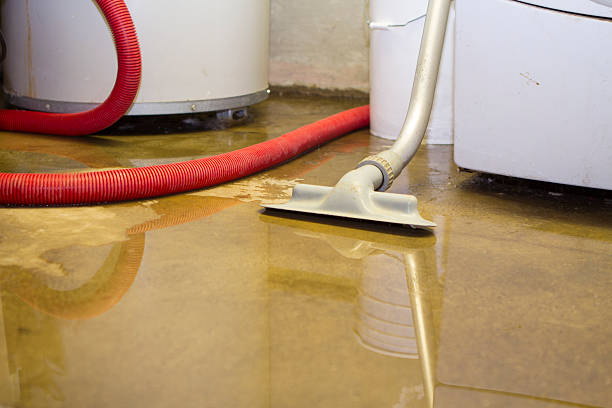 Best Flood damage cleanup  in Lakeport, CA