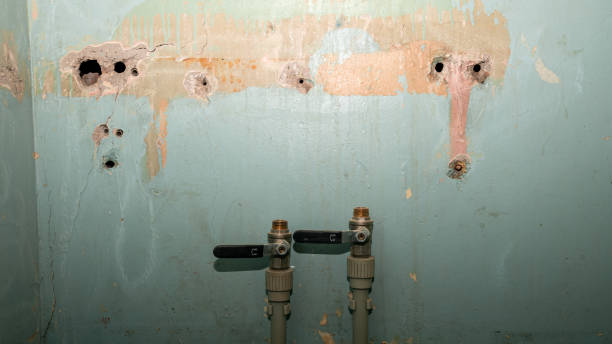  Lakeport, CA Water damage restoration Pros