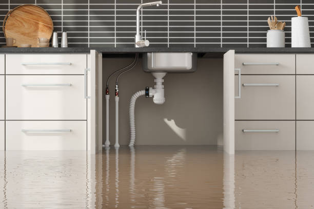 Best Water damage cleanup near me  in Lakeport, CA