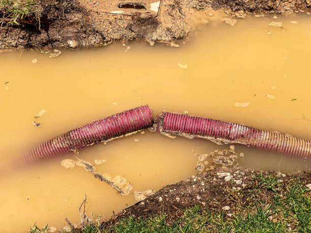 Best 24-hour water damage restoration  in Lakeport, CA